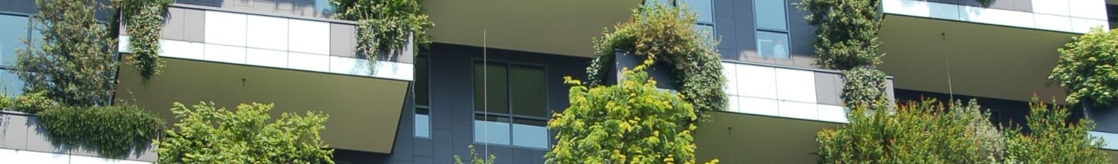 A building surrounded by green plants